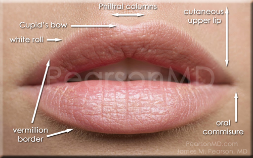 Pearson Lip Enhancement Diagram